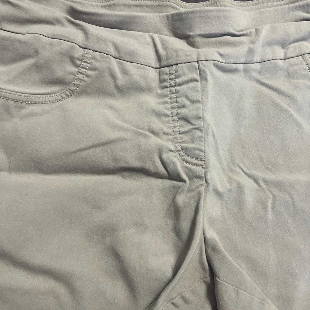 Hearts Of Palm Woman’s Beige Shorts 16w